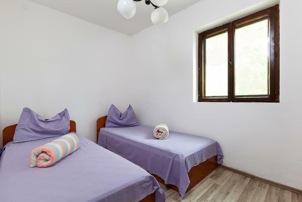 Villa Reminiscence سيغيت فغانييتْسا المظهر الخارجي الصورة